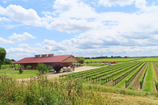 Driving in Delta’s Wine Country: Private Self-Guided Audio Tour - Grand Island Mansion and the rural back roads