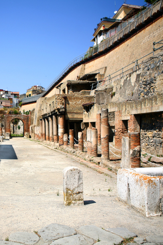 Ercolano: Herculaneum Entry Ticket with Optional Audio Guide - Key points to know before you go