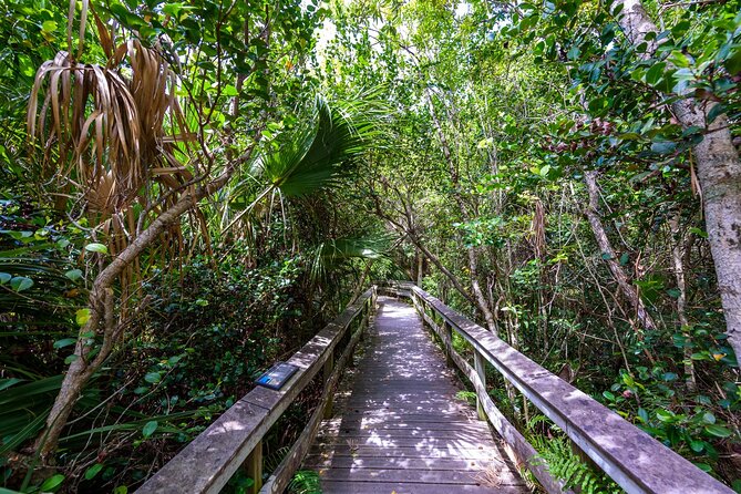 Everglades National Park Self-Guided Audio Tour - Royal Palm, Pinelands, and the First Trail Choices