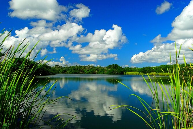 Everglades National Park Self-Guided Audio Tour - Mahogany Hammock Offers Shade and Close-Up Detail