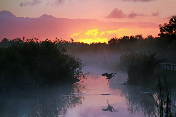 Everglades National Park: Self Guided Driving Audio Tour - Start in Florida City, and Get the App Ready First