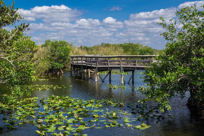 Everglades National Park: Self Guided Driving Audio Tour - Pa-Hay-Okee Gives You the Big Picture