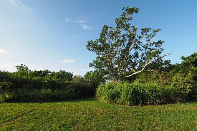 Everglades National Park: Self Guided Driving Audio Tour - The Smaller Stops Fill in the Details