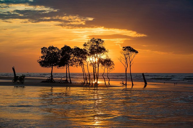 Explore Delightful Darwin: Self-Guided Audio Tour - Key points at a glance
