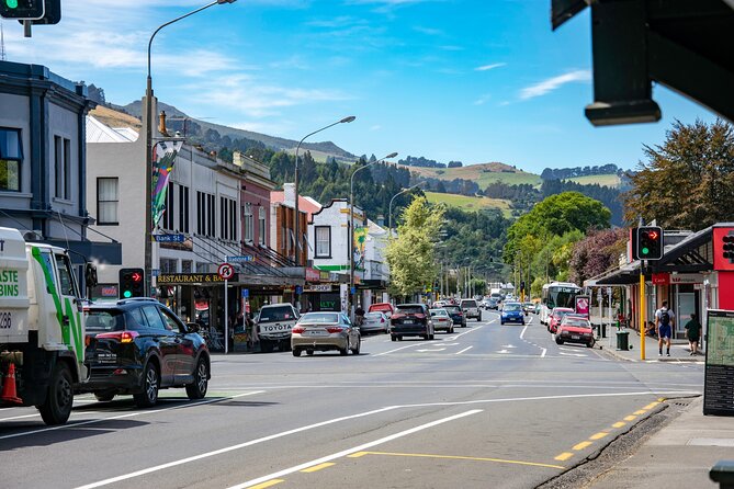 Explore Dunedin: Self-Guided Audio Tour Adventure - The five things to know before you start