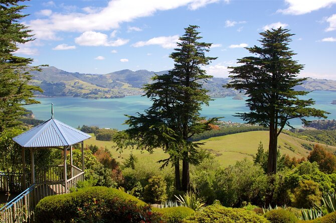 Explore Dunedin: Self-Guided Audio Tour Adventure - Toitū Otago Settlers Museum and the city’s people