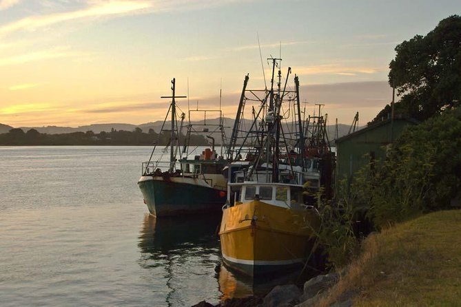 Explore Tauranga: Self-Guided Audio Tour - Key points to know before walking