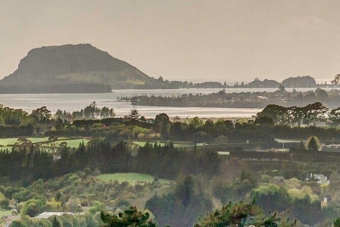Explore Tauranga: Self-Guided Audio Tour - Robbins Park for a quieter pause