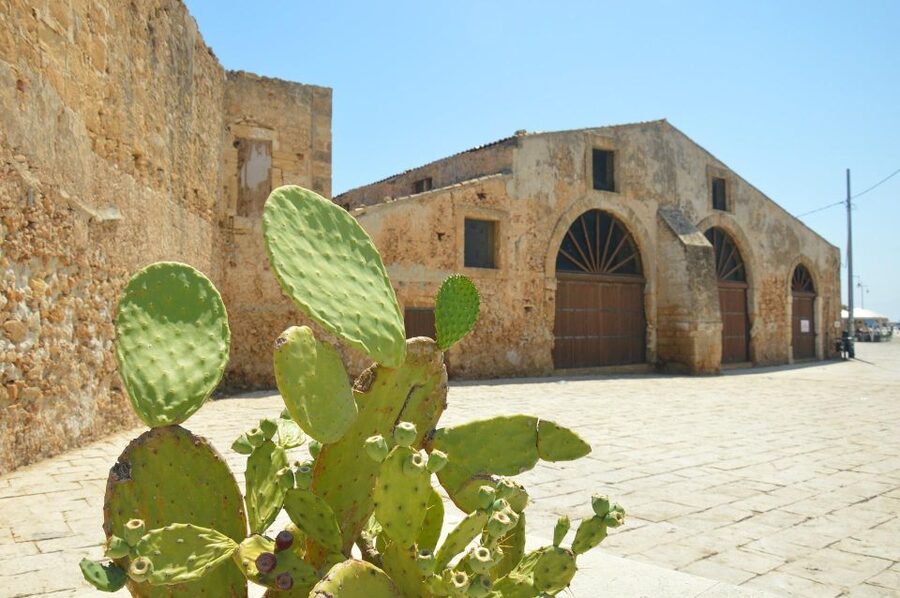 From Catania: Siracusa, Ortigia, Marzamemi audio-guided tour - Who will enjoy this day most