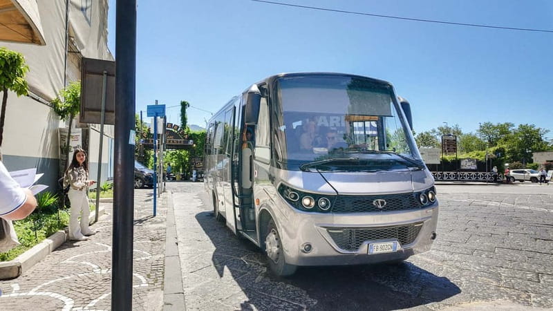 From Pompeii: Mount Vesuvius with bus, ticket and audioguide - Why this Vesuvius trip works well from Pompeii