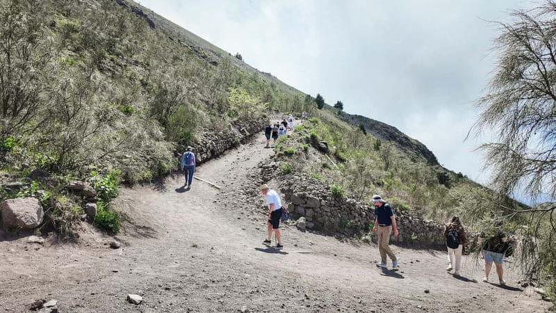 From Pompeii: Mount Vesuvius with bus, ticket and audioguide - The 110-minute stop at Mount Vesuvius