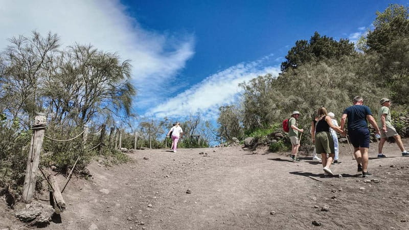From Pompeii: Mount Vesuvius with bus, ticket and audioguide - Comfort, pace, and mobility