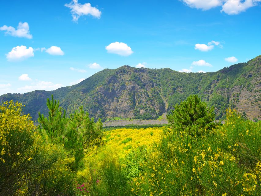 From Salerno: Vesuvius & Pompeii with audioguide - The transfer from Vesuvius to Pompeii