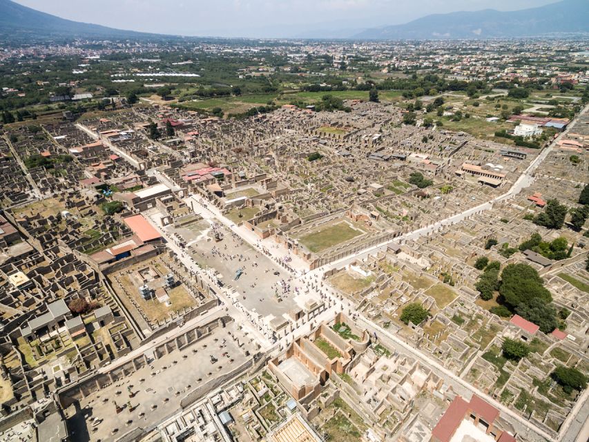 From Salerno: Vesuvius & Pompeii with audioguide - Returning to Salerno