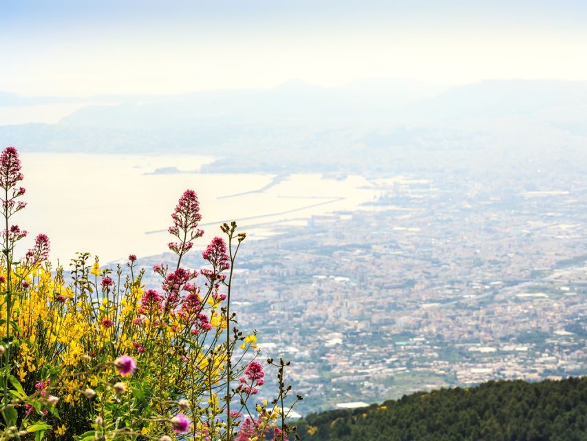 From Salerno: Vesuvius & Pompeii with audioguide - Meeting in Salerno without confusion