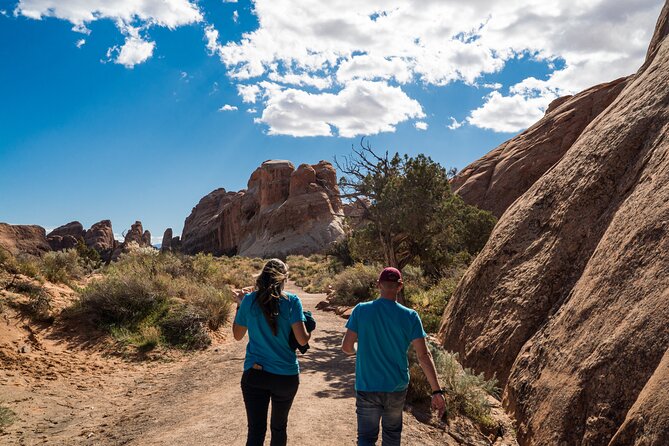 Full-Day Audio Driving Tour of Arches National Park - Petrified Dunes and Balanced Rock add variety
