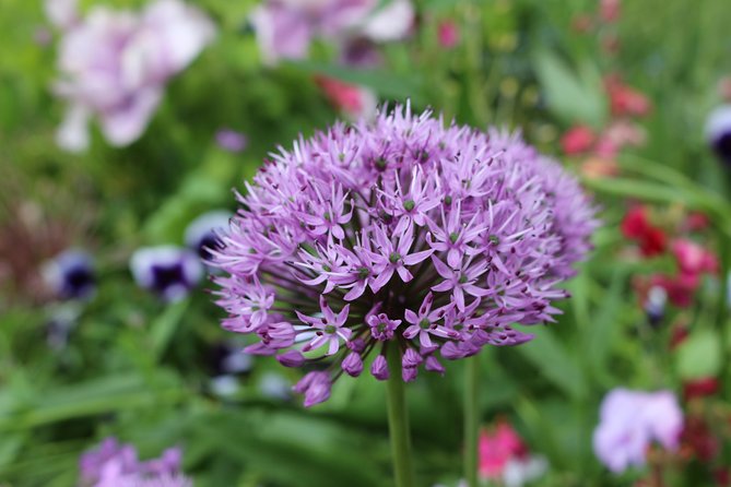 Giverny and Monet's House Half Day Trip from Paris Guide or Audio - Is the $102.57 price fair?