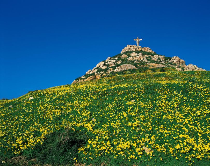 Gozo Day Pass Ferry and Hop-on Hop-off buses with audio Tour - What the $59 Gozo pass actually gives you