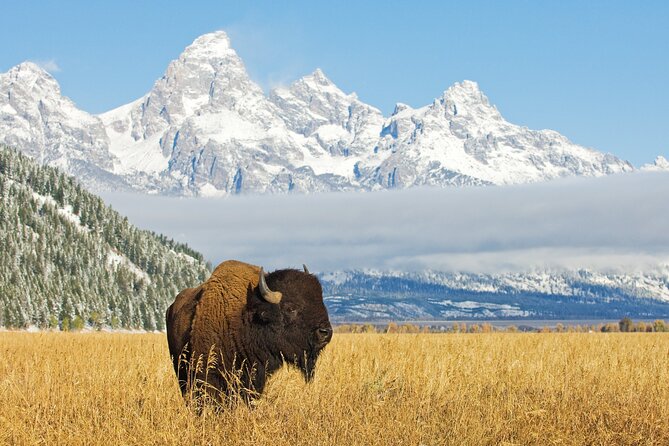 Grand Teton Self-Guided Driving Audio Tour - Jenny Lake deserves extra time