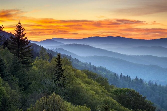 Great Smoky Mountains National Park Self-Guided Audio Tour - Elkmont Nature Trailhead and Laurel Falls