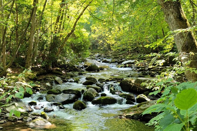 Great Smoky Mountains National Park Self-Guided Audio Tour - Metcalf Bottoms and The Sinks