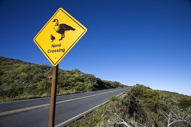 Haleakala Sunset and Stargazing Audio Tour - Leleiwi and Kalahaku: two short overlooks worth your time
