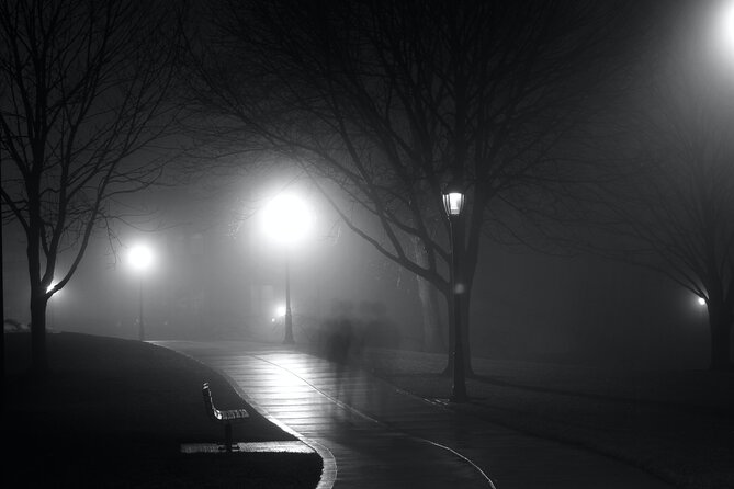 Haunted Miami: Self-Guided Smartphone Audio Driving Tour - The Devil’s Tree and Miami Circle