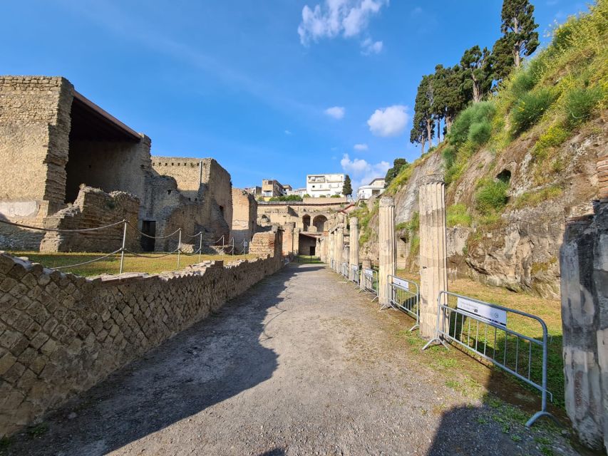 Herculaneum Archaeological Park smart Audio Tour - How to prepare before entering the park