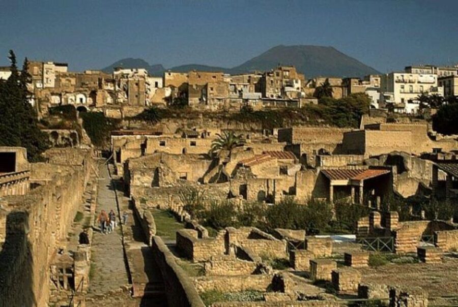 Herculaneum: Skip The Line Entrance ticket + Audioguide - Should you book the Herculaneum audio guide ticket?