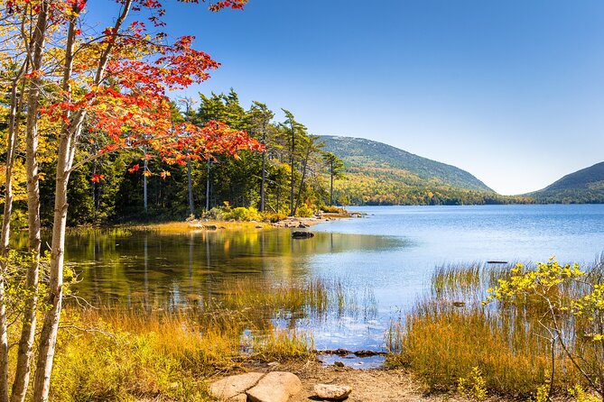 Historic Bar Harbor Self-Guided Walking Audio Tour Guide - The library, the Abbe Museum, and Wabanaki history