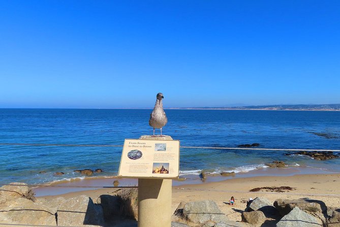 Historic Cannery Row: A Self-Guided Audio Tour of John Steinbeck's Monterey - Ed Ricketts and Pacific Biological Laboratories