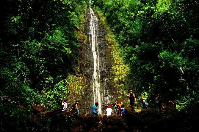 Honolulu Rainforest Self-Guided Audio Tour - Mānoa Marketplace keeps the route local