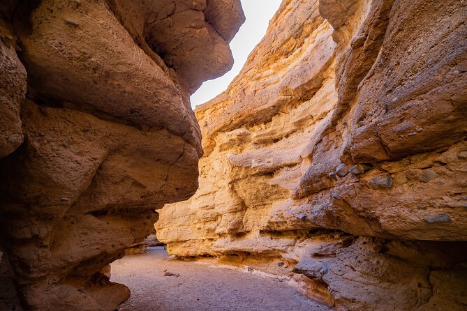 Hoover Dam and Lake Mead Self-Guided Audio Tour - Hemenway Park brings wildlife into the day