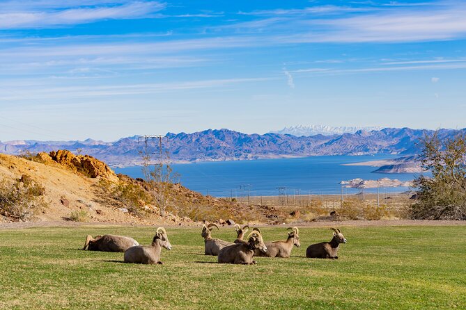 Hoover Dam and Lake Mead Self-Guided Audio Tour - See Hoover Dam from both sides