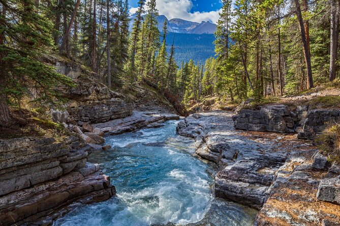 Icefields Parkway Self-Guided Driving Audio Tour - Should you book it?