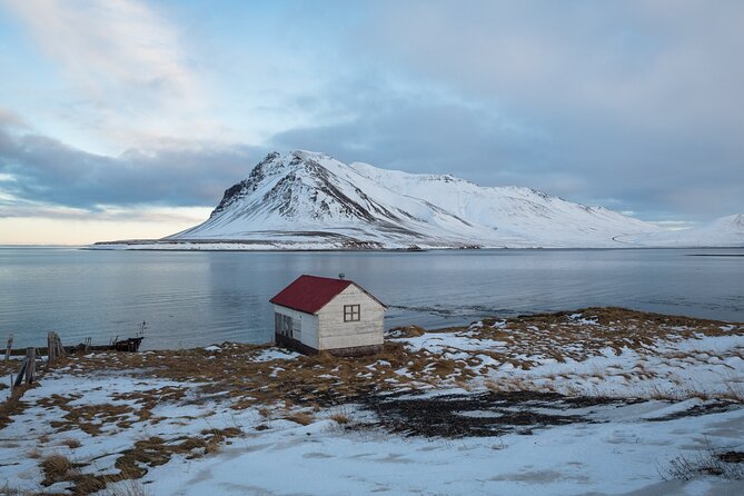 Icelands Reykjavik Self Guided Walking Audio Tour - Reykjavik City Hall and the green wall