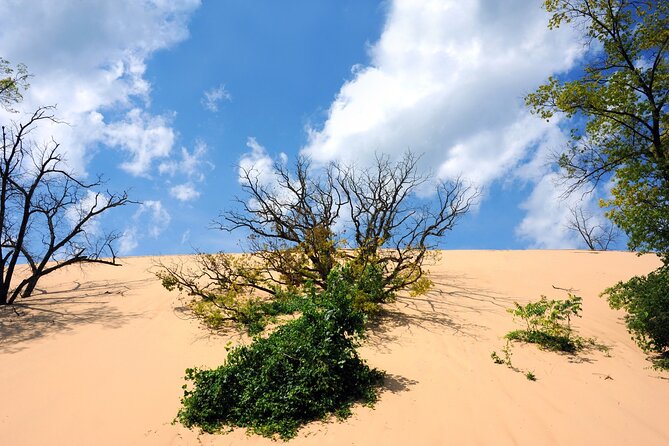 Indiana Dunes National Park Self-Guided Audio Tour - Ancient shorelines and the park’s longest trail choices
