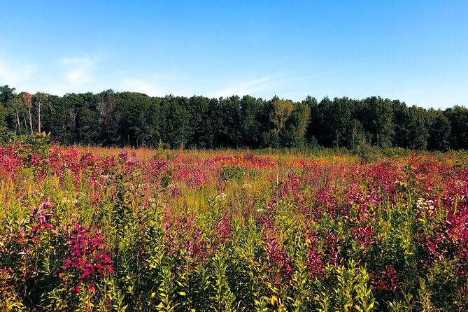 Indiana Dunes National Park Self-Guided Audio Tour - Portage Lakefront, Tolleston Dunes, and West Beach