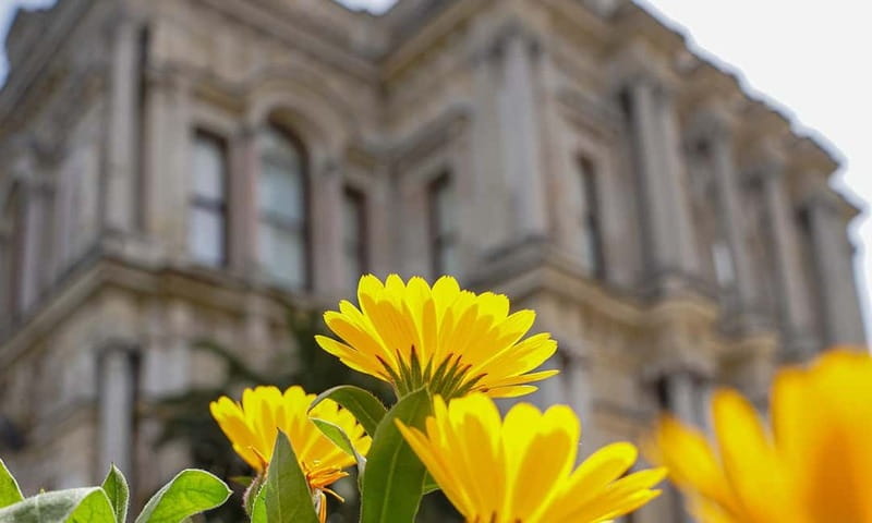 Istanbul: Beylerbeyi Palace Skip-the-Line Ticket & Audio … - Practical timing for your Istanbul day