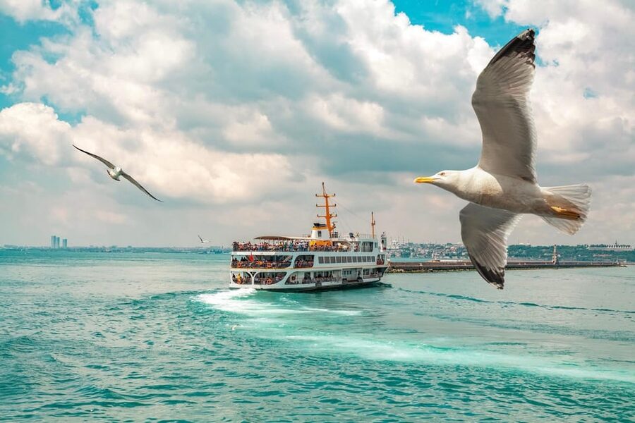 Istanbul: Bosphorus Strait Sightseeing Cruise & Audio Guide - Rumeli Hisarı and the second bridge