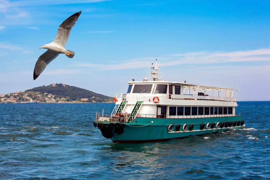 Istanbul: Bosphorus Strait Sightseeing Cruise & Audio Guide - Who should book this cruise?