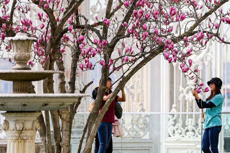 Istanbul: Dolmabahce Palace and Harem Fast-Track & Audio - The Harem adds a more personal view