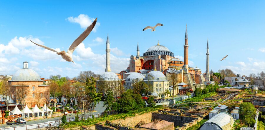 Istanbul: Hagia Sophia Entry Ticket with Audio Guide - Seeing Hagia Sophia from the visitor route