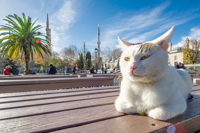 Istanbul Walking Tour with Audioguide on Your Smartphone - Gülhane Park and the museums near Topkapi