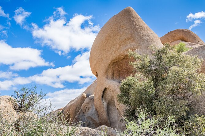 Joshua Tree National Park Self-Guided Audio Tour - Arch Rock, Split Rock, and Skull Rock