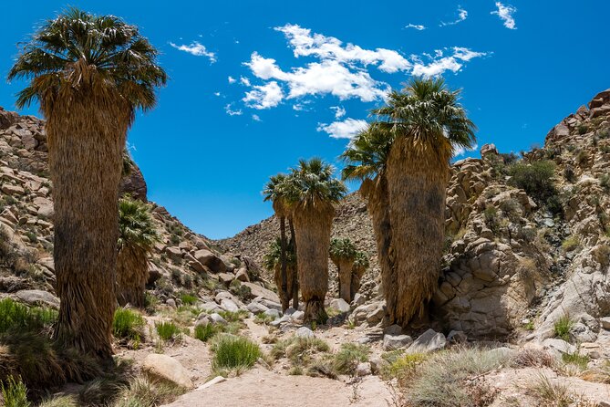 Joshua Tree National Park Self-Guided Audio Tour - Barker Dam and Wall Street Mill