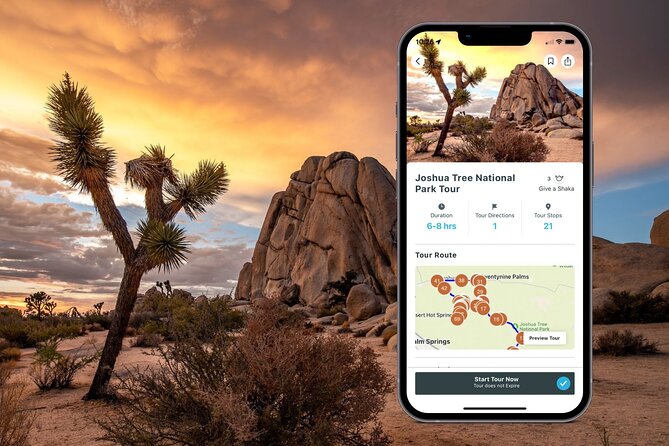Joshua Tree National Park Self-Guided Audio Tour - Ocotillo Patch and the Cholla Cactus Garden