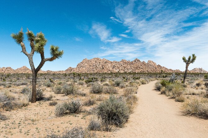 Joshua Tree National Park Self-Guided Driving Audio Tour - Hidden Valley, the best short walk for many visitors