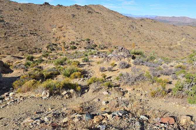 Joshua Tree National Park Self-Guided Driving Audio Tour - Lost Horse Valley and the mining past