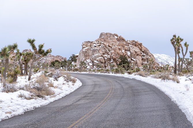 Joshua Tree National Park Self-Guided Driving Audio Tour - Queen Valley, Skull Rock, and the route’s most familiar sights